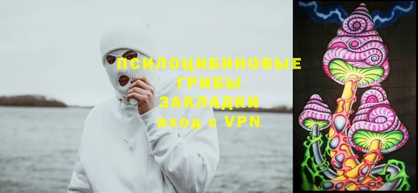 альфа пвп Губаха