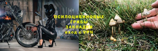 таблы Грязовец