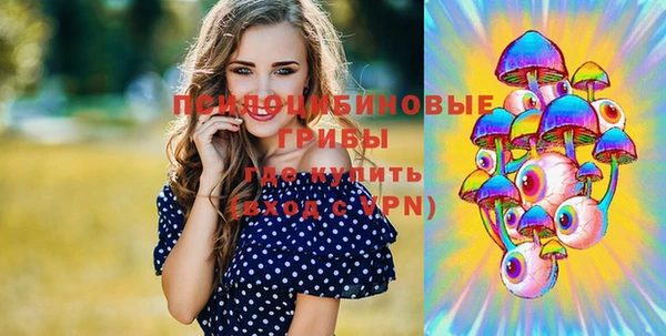 винт Гатчина